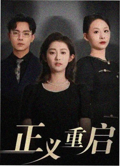 国产剧雾港回声海报