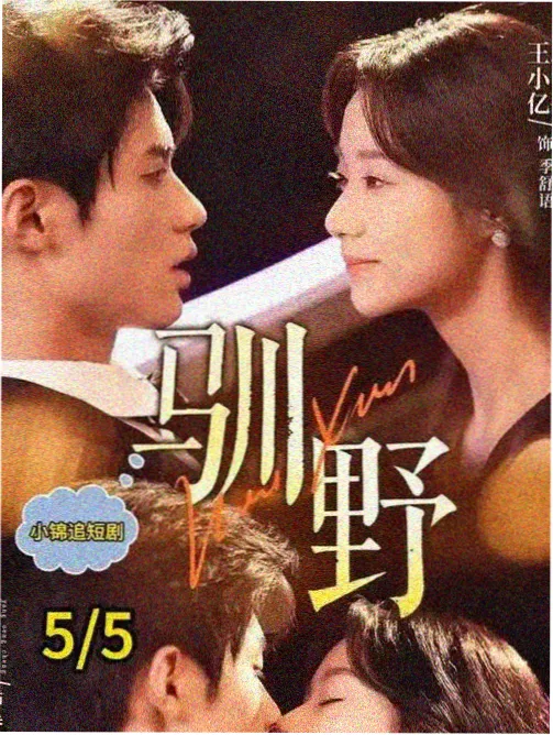国产剧南山有约海报